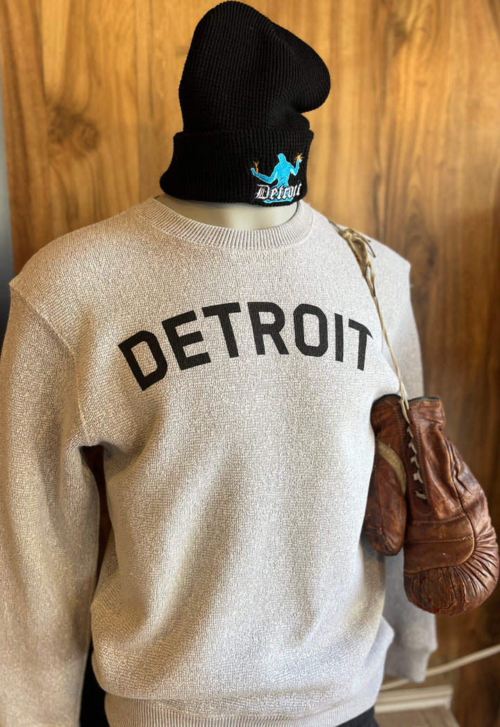 Coziest Sweatshirt Ever Detroit